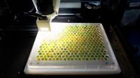‘HyperBird’ spots grape diseases before they’re visible
