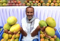 Will exotic fruits soon be grown in Switzerland?