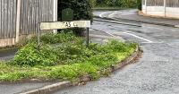 Residents brand weed-covered streets an ‘utter disgrace’ as council responds