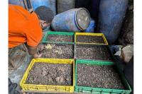 Food waste crisis in markets pinching traders, consumers
