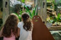 A.R.M. Holding Children’s Programme calls for arts-integrated learning as AI reshapes the skills children need