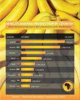 Nigeria Remains West Africa’s Biggest Banana Producer- Report