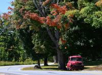 How climate change is affecting Maine’s fall foliage