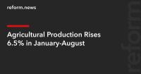Agricultural Production Rises 6.5% in January-August