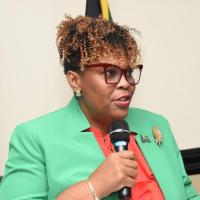 Harrison: Jamaica must stop normalising failure in education