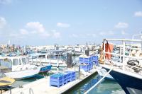 Pacific fishing communities confront gaps in disaster recovery