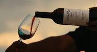 THE OZEN COLLECTION brings Bodegas Viñátigo wine master class back to Maldives
