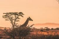 The 9 best ways to experience Africa beyond a traditional safari