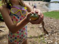 For Maine’s youngest homeschoolers, start with play, books and home