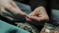 On the Cannabis Question