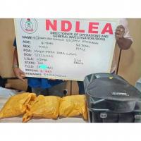 Tour Agent, Businessman Arrested Over Illicit Substance Hidden in Music Speaker