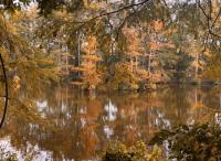 Chemin-A-Haut is Louisiana's Best-Kept Secret for Peak Fall Color