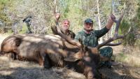 Pennsylvania world champion archer starts hunting season with bull elk