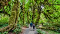 U.S. National Parks With The Best Short Hikes