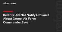 Belarus Did Not Notify Lithuania About Drone, Air Force Commander Says