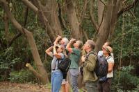 KwaZulu-Natal’s birdlife boosts tourism as vital habitats face growing pressure
