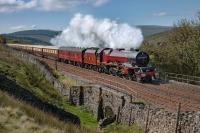 Milly's novel sets luxury train on track for trips for Norwegian passengers