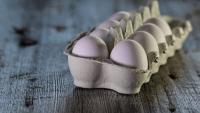 About 20% of industrial egg production lost at start of war – Poultry Union