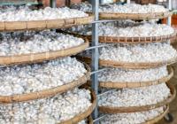 Uzbek silk farmers allege extortion