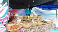 Grootfontein Show to create opportunities 