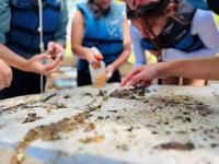 The Department of Conservation and Recreation releases Virginia's first-ever Environmental Literacy Strategic Plan