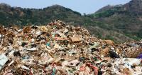In 1983, Atari dumped truckloads of unsold video games in a New Mexico landfill; when the site was excavated in 2014, about 1,300 cartridges were recovered, with some later selling for hundreds or thousands of dollars