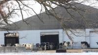 Farmers caught in middle as U.S., Canada escalate trade dispute