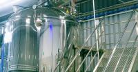 What Mars’ latest food-tech cohort says about the future of food