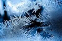 Michigan's Upper Peninsula Braces For Early September Frost