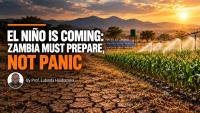 El Niño Is Coming: Zambia Must Prepare, Not Panic – Prof. Lubinda Haabazoka
