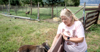 This Utah farmer gets paid not to develop. Advocates say it's good for everyone