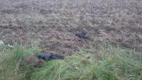 NATO fighter jet shoots down drone over Lithuania