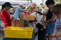 The businesses residents most want | Inquirer Haverford