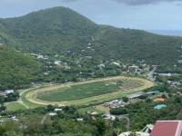 Parillon claims horse-racing absence cost BVI over $20M