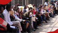 National Employment Authority shares 2 checks Kenyans seeking jobs abroad must make