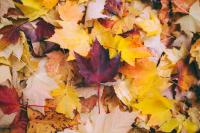 Weather Channel Calling For Warm Autumn In New York State