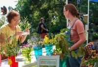 County Master Gardeners Host Their Annual Free Fall Garden Festival This Saturday