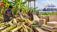 Bangladesh's banana farmers once discarded the stems; the waste can now produce 37,778 tonnes of fibre a year and a $94 million export opportunity