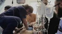 Palestinian Red Crescent warns of imminent health disaster in Gaza
