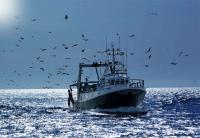 Fishing industry can have its say on Marine Protected Areas