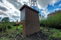 Peterborough City Council encourages Sand Martins to nest at its Sand Martin House HQ