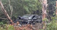 Michigan man arrested after multi-county pursuit in stolen pickup