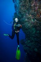 Day 8: Search Ends for Two Experienced Divers Missing at Palau’s Peleliu Wall 