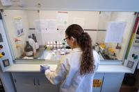 The Trump Administration’s Plan To Politicize Federal Grants Would Harm American Health and Innovation