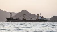 Qatar: Closing Bab el-Mandeb Would Be Catastrophic