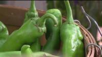 New Mexico farmers look to rain and El Niño for relief after dry season