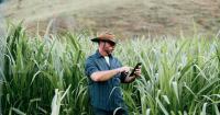 Digital farming company xFarm Technologies doubles down on Brazil with Sibium Analytics acquisition