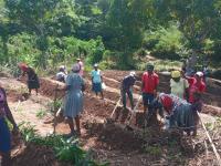 Haiti farmers demand a say in $47.9M agriculture project