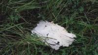 Debris seen after NATO fighter shoots down drone in Lithuania