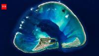 In 2004, scientists moved 42 endangered ducks to a Hawaiian atoll; six years later, their population had reached 661